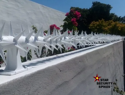 Star Security Spikes Table View, Cape Town