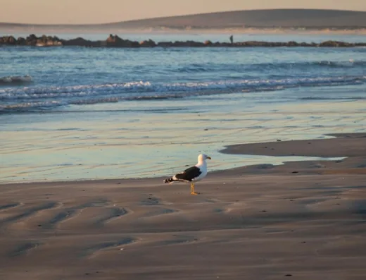 Paternoster Dunes Boutique Guesthouse
