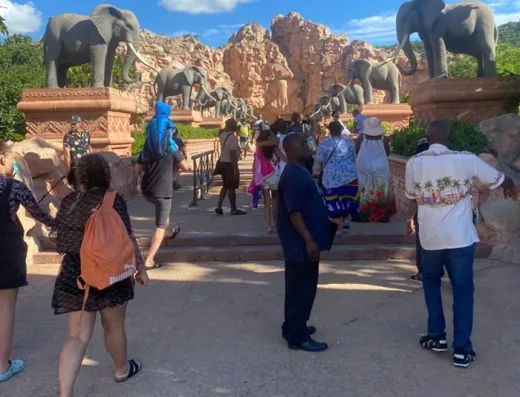 Wanderer Johannesburg Tours & Travel