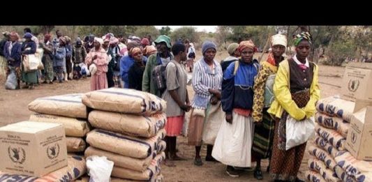 Will South Africa end up like Zimbabwe? No, very much worse