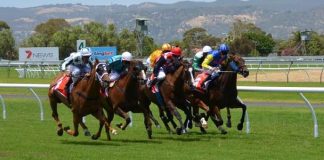 The Growth of Online Sports Betting in The African Continent
