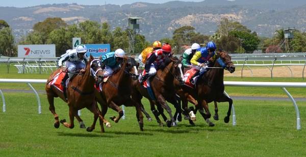3 great horseraces of South Africa