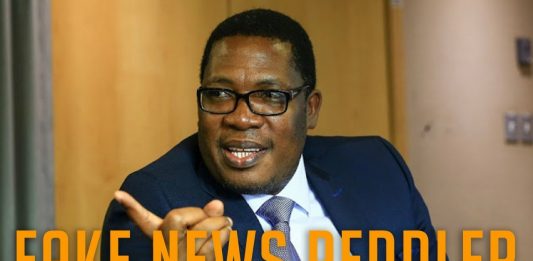 The MEC of fake news: Lesufi tweet spreading fake racist information