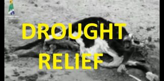 Severe drought: Boere Droogtehulp call out the fake mainstream media