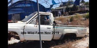Failed farm in black hands: The sad story of Idle Wild farm