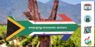 The four emerging economic sectors for a post-pandemic Africa