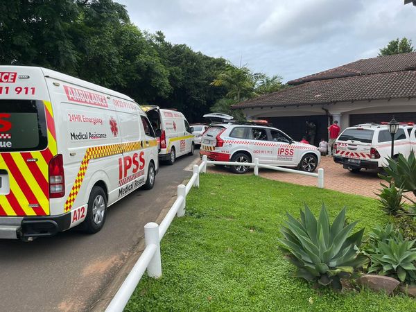 Six attacked by bees, two in a critical condition in Ballito