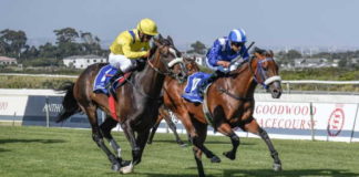 Top 5 South Africa's Best Horse Races To Visit