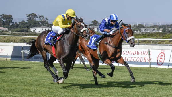 Top 5 South Africa’s Best Horse Races To Visit