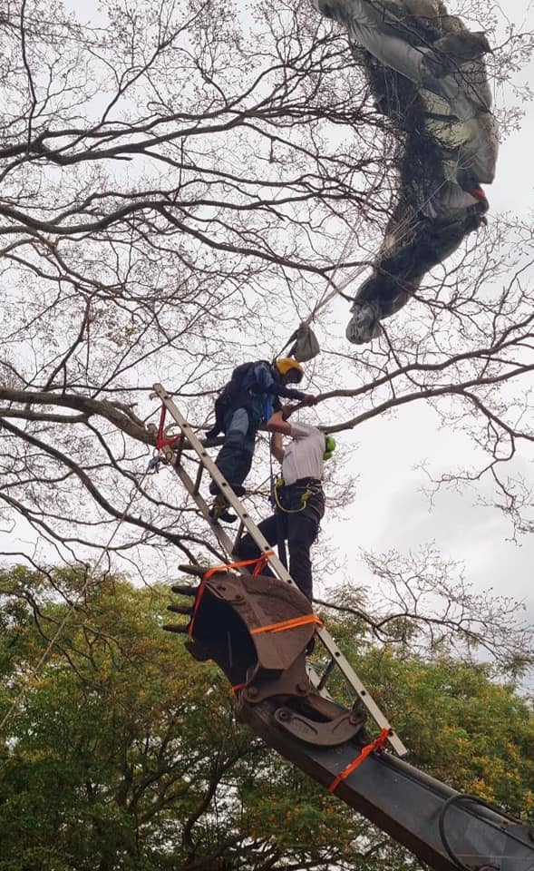 Skydiver tangled around 9 metres up in tall trees in the Camperdown area.