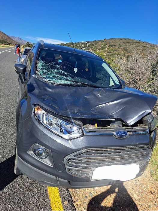 Teachers treated for trauma after narrow escape from serious injury in a collision with a kudu