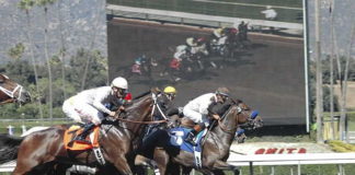 Horse Racing In Humid Conditions: Things You Should Know