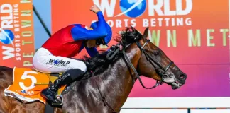 Bet smarter, not harder: A beginner’s guide to betting on horse racing