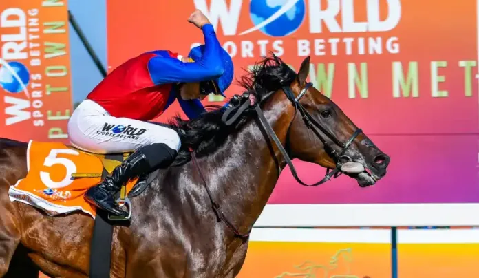 Bet smarter, not harder: A beginner’s guide to betting on horse racing