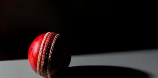 Tips for Betting on Cricket in South Africa