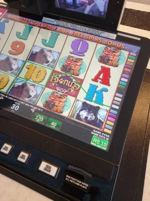 Sun City’s outdoor slot machines are a first in South Africa 5 Sun City’s outdoor slot machines are a first in South Africa