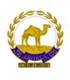 Eritrea: Sports competitions of Ministry of Defense
