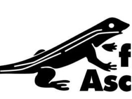 First Ascent signs as Technical Apparel Partner of Stillwater Sports’ MTB portfolio of events