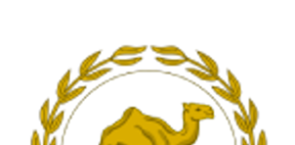 Eritrea: Sports competition of Popular Forces Command