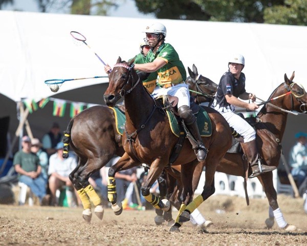 South Africa strides into semi-finals of the 2024 Ignition Group Polocrosse World Cup! South Africa strides into semi-finals of the 2024 Ignition Group Polocrosse World Cup!