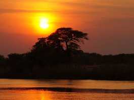 Okavango Delta Sunset in Botswana