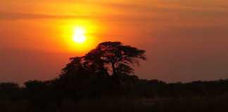 Okavango Delta Sunset in Botswana