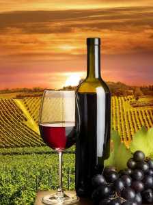 Africa-wine-countries-1