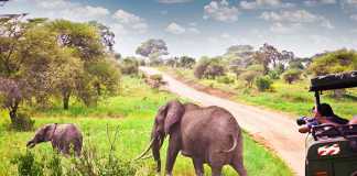 Embracing Domestic Tourism in Africa