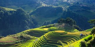 Travel Tips - Top Destinations in Vietnam, From Hanoi to Ho Chi Minh City