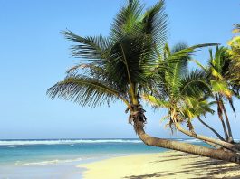 Top 5 Cuba Beach Destinations on the North Coast