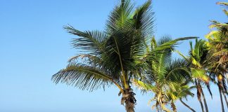 Top 5 Cuba Beach Destinations on the North Coast