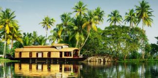 Top 8 Things to Do in Kerala Beyond Your Imagination
