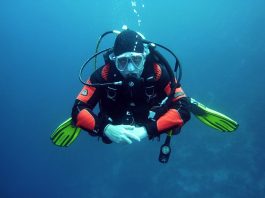 Top 4 Places To Scuba Dive in South Africa