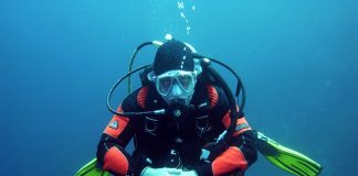 Top 4 Places To Scuba Dive in South Africa