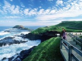 Never Ending Wonders explored with top Phillip Island tours from Melbourne