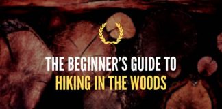 Beginner’s Guide to Hiking in the Woods