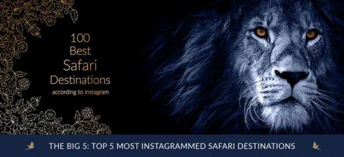 The most popular safari destinations, according to Instagram