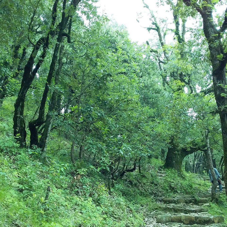 pandavkholi-trek-rishikesh.jpg