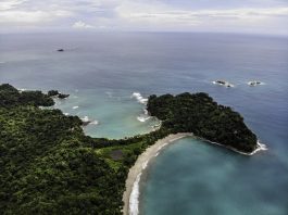 Top 12 Yoga Retreats in Costa Rica