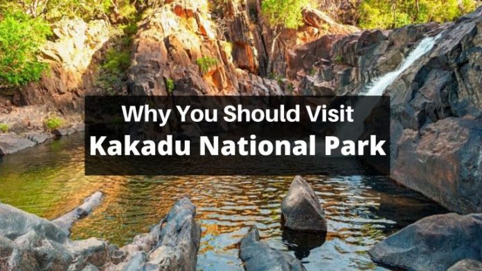  Why Shouldn't You Miss A Visit To Kakadu National Park?