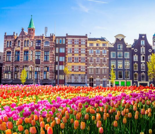 Five Reasons To Visit Amsterdam In European Springtime