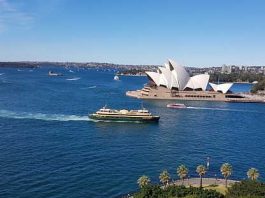 Intriguing whale watching cruise of Sydney and the Shark Island