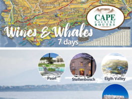Cape Country Routes’ stunning Wine and Whales 7-day Tour Package