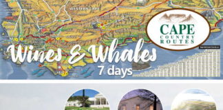 Cape Country Routes’ stunning Wine and Whales 7-day Tour Package