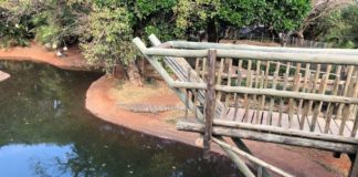 KZN South Coast’s Crocworld Conservation Centre announces exciting new attractions