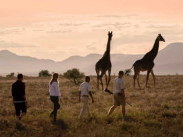 Samara Private Game Reserve joins a global community of leading nature-based tourism businesses advocating a sustainable tourism recovery post-COVID19