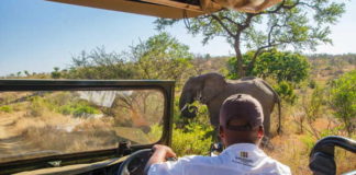 Luxury safari underneath the golden African sky - Shishangeni by BON Hotels