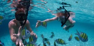 Snorkeling in Cancun