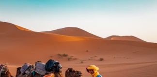 Best Things to do in Morocco
