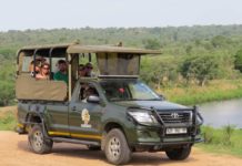 Book your next Kruger Park Safari with Kurt Safaris